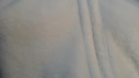 diana online show from 12/11/24, 06:42