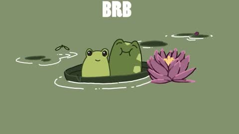 diana online show from 12/13/24, 07:43