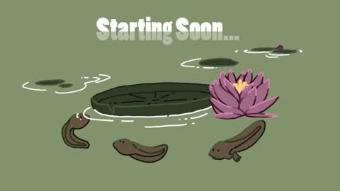 diana online show from 01/18/25, 02:55