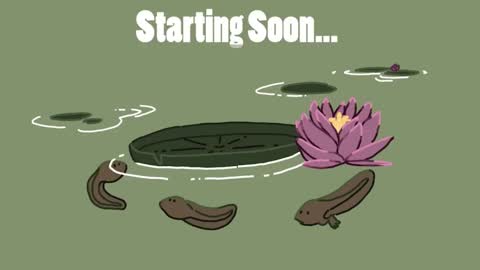 diana online show from 01/30/25, 08:31