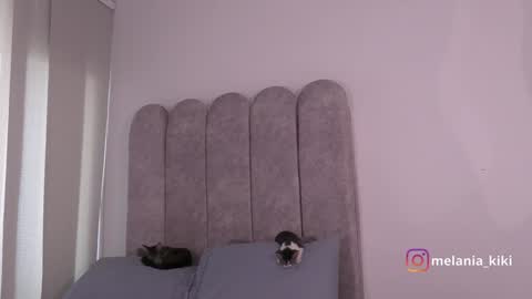 Snapshot of dianne_nanatzu chatting on 12/20/24, 10:11 Melania - online show from 12/20/24, 10:11