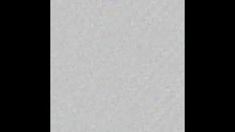 dice_steele online show from 03/08/26, 02:15