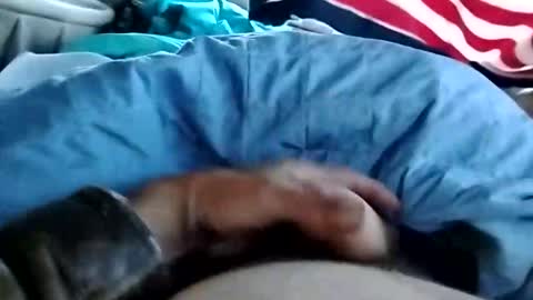 Dickbowen online show from 11/01/25, 01:57