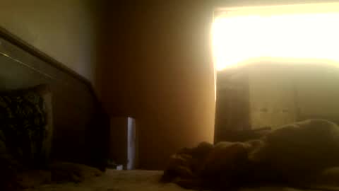 dickdaxxx online show from 03/02/25, 08:16