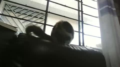 Snapshot of dickeduardo chatting on 03/29/26, 10:32 dickeduardo online show from 03/29/26, 10:32