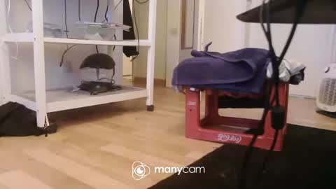 Kevin S. online show from 12/17/25, 09:59