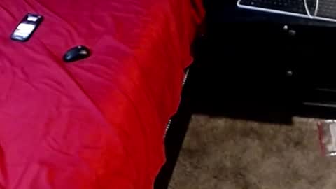 Sparkx online show from 09/28/25, 05:13