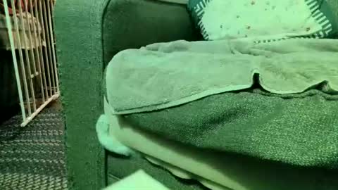 dickwack4u online show from 08/06/26, 01:51