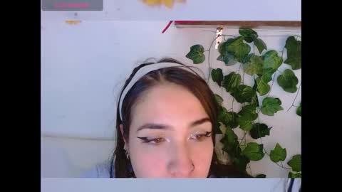 Snapshot of dicmonlu11 chatting on 12/16/25, 03:33 Dicmonlu online show from 12/16/25, 03:33