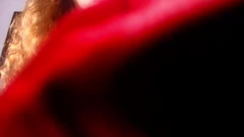 Diane online show from 02/26/25, 07:16