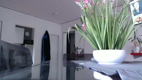 squirtcock online show from 12/09/24, 02:39