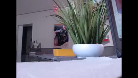 squirtcock online show from 11/01/25, 10:28