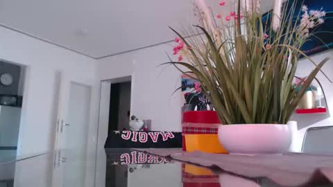 Snapshot of didiegal1 chatting on 02/25/26, 11:53 squirtcock online show from 02/25/26, 11:53