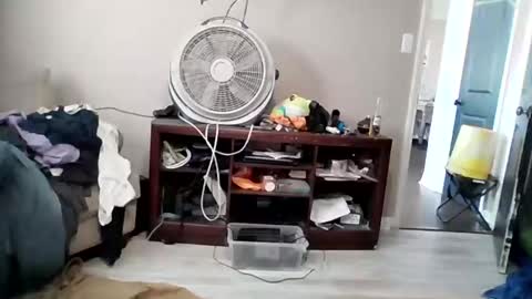 Daddy online show from 03/19/26, 08:46