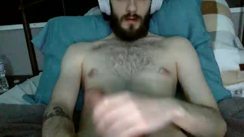 digbicknik online show from 01/28/25, 09:19