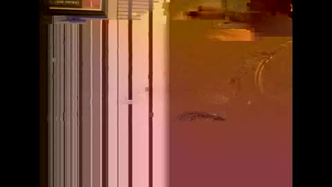 dildosnme22 online show from 01/13/25, 11:08