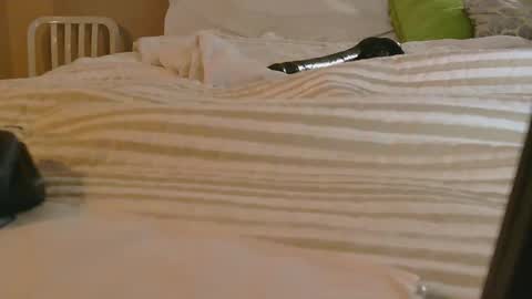 dildosnme22 online show from 02/09/26, 11:14