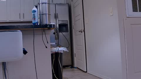 Dilldough405 online show from 01/29/25, 06:07