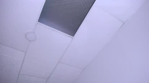 DINA online show from 12/24/24, 09:55