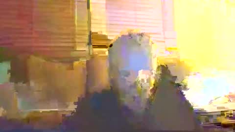 dingleberryjonesmagee online show from 10/25/25, 10:26