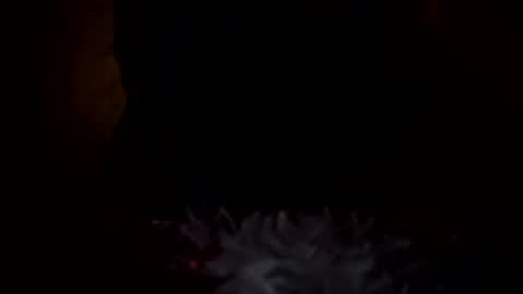 dingler523482 online show from 12/17/25, 06:41