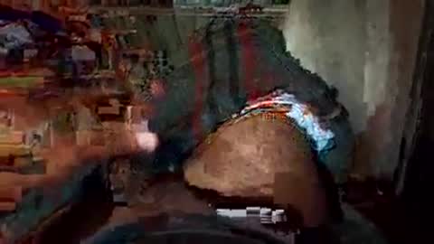 dyno online show from 11/22/25, 02:10