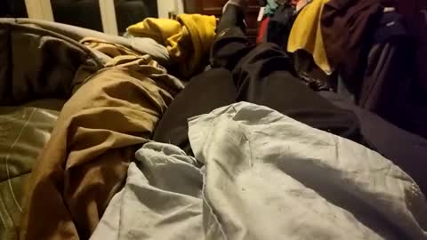 Soid online show from 12/24/24, 04:08
