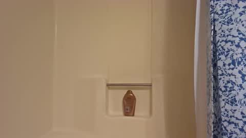 Snapshot of dipstik11 chatting on 10/16/25, 06:31 DIPSTIK online show from 10/16/25, 06:31