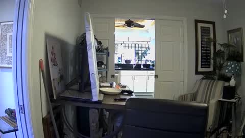 DirtkPitt Fun guy working online show from 01/03/25, 07:39