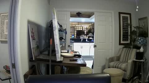 DirtkPitt Fun guy working online show from 01/04/25, 02:35