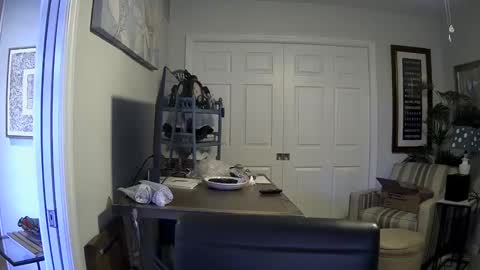 DirtkPitt Fun guy working online show from 01/04/25, 06:40