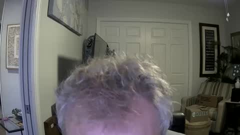 DirtkPitt Fun guy working online show from 01/19/25, 09:45