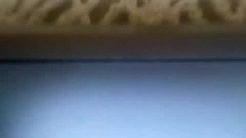 Snapshot of dirlandis chatting on 04/09/26, 06:30 free4fun online show from 04/09/26, 06:30