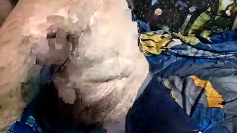 dirtmcgirt82 online show from 04/18/26, 06:06