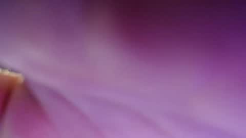 Snapshot of dirty_kiss69 chatting on 02/17/25, 11:31 Dirty Kiss69 online show from 02/17/25, 11:31