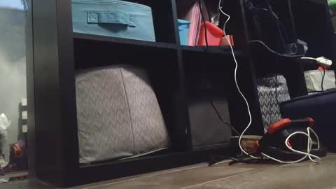 Daisy Wylde online show from 12/27/24, 11:21