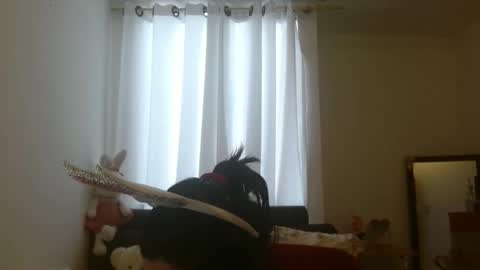 disneey2888 online show from 11/12/25, 08:19