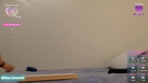 Snapshot of dixie_comanche chatting on 11/27/25, 04:03 dixie_comanche online show from 11/27/25, 04:03