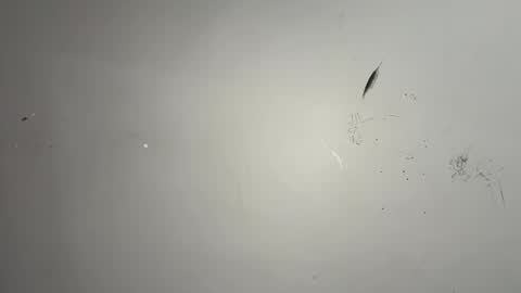 Snapshot of dixkzilla chatting on 02/20/26, 02:52 dixkzilla online show from 02/20/26, 02:52