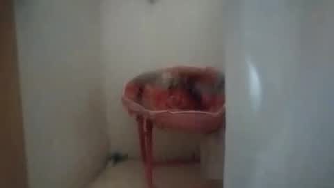 Snapshot of dixonbird41 chatting on 10/06/25, 10:12 dixonbird41 online show from 10/06/25, 10:12