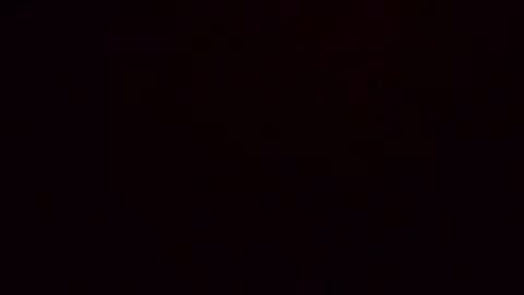 dixonbird41 online show from 04/09/26, 11:59