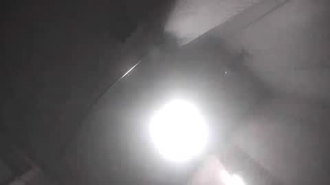 dixonbird41 online show from 04/17/26, 09:45