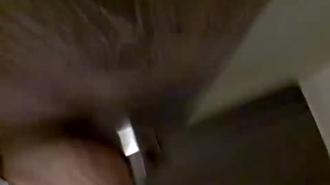 DKdad online show from 01/12/25, 09:08