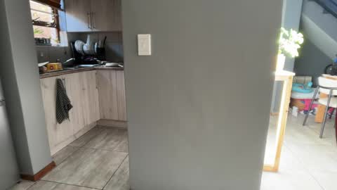 Dmitri online show from 04/28/26, 08:30