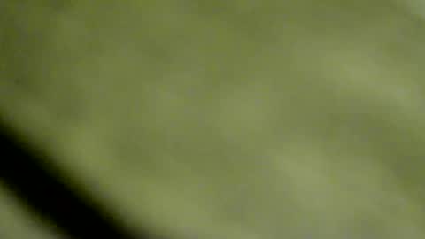 Doby online show from 01/15/26, 10:46