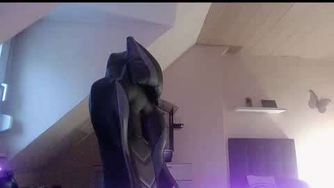 doggy2629 online show from 01/06/26, 03:38