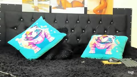 C E L E S T E  online show from 12/22/24, 04:06