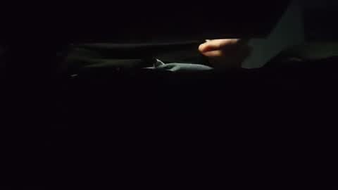 domcook147 online show from 01/04/25, 12:05