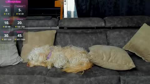 SANTI  independent model online show from 02/20/25, 03:12