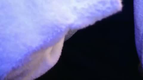 domse999 online show from 02/17/25, 11:34